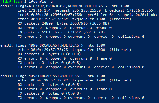 NIDS ifconfig